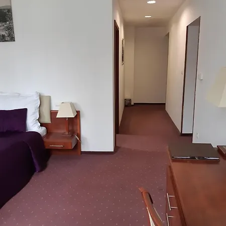 Hotel Park Avenue **** Piest'any