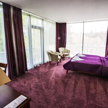 Hotel Park Avenue **** Piest'any