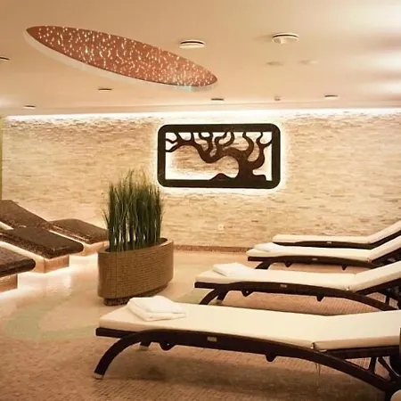 Hotel Park Avenue **** Piest'any