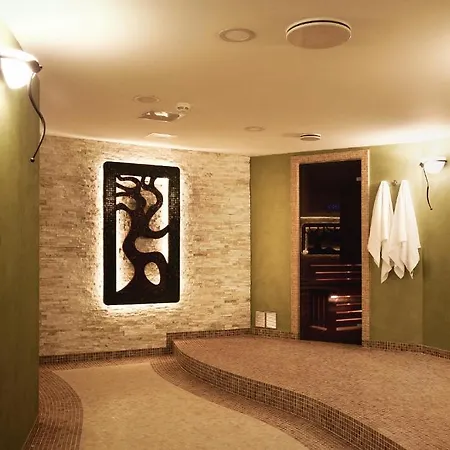 Park Avenue **** Hotel Piest'any